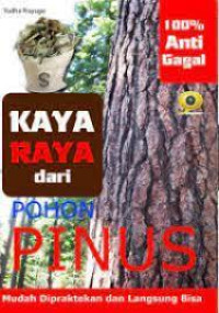 Kaya Raya dari Pohon Pinus: Mudah Dipraktekkan dan Langsung Bisa